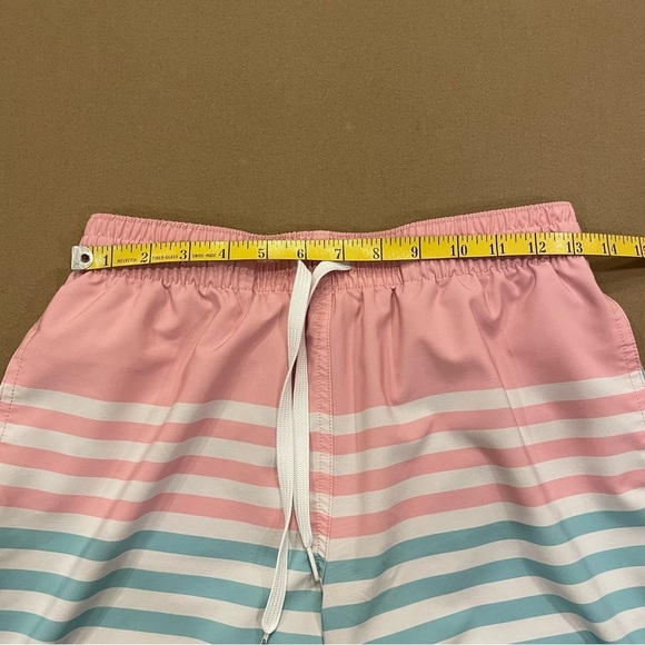 Chubbies The On The Horizons Mesh Brief Lined Swim Trunks Size Small - Picture 9 of 10